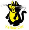 Yellow Cat's Photo