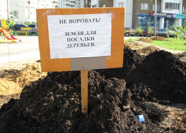 Размещенное изображение