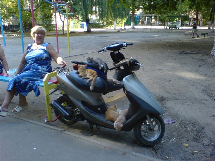 Размещенное изображение