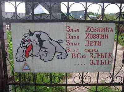 Размещенное изображение