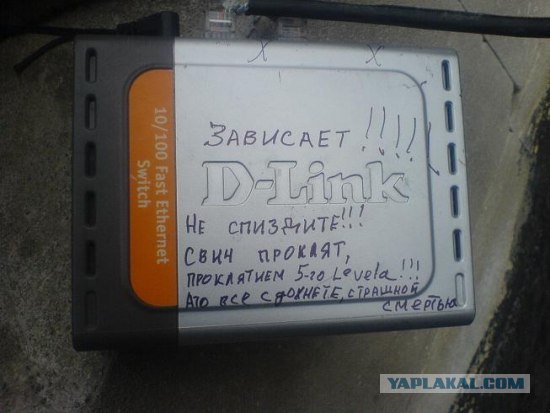 Размещенное изображение