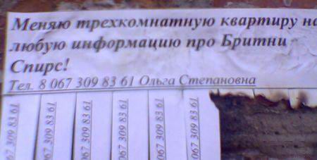 Размещенное изображение