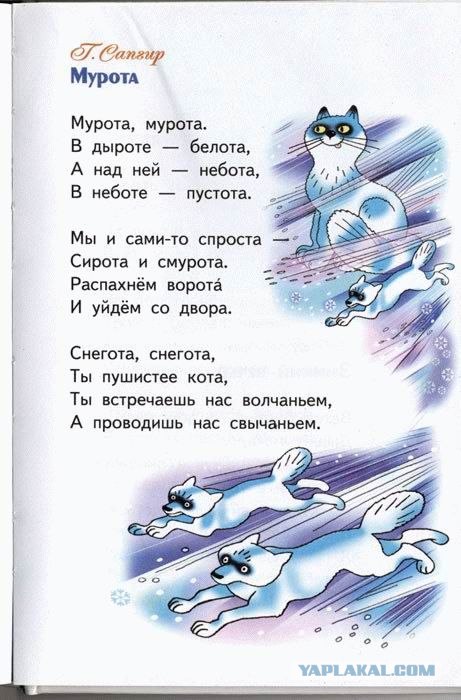 Размещенное изображение