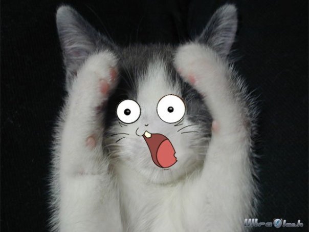 Размещенное изображение